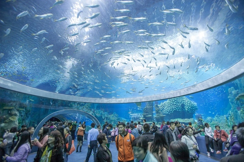 HÀ NỘI -  NHA TRANG - VINWONDER – VỊNH SAN HÔ - TẮM KHOÁNG NÓNG upload/attachment/thumb/8320nha-trang-5-jpg.webp